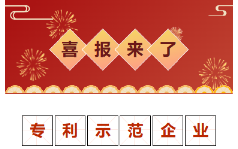 喜報！金華市專利示范企業(yè)！